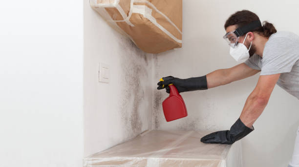 Professional Attic Mold Remediation technician working in Oak Hall, VA