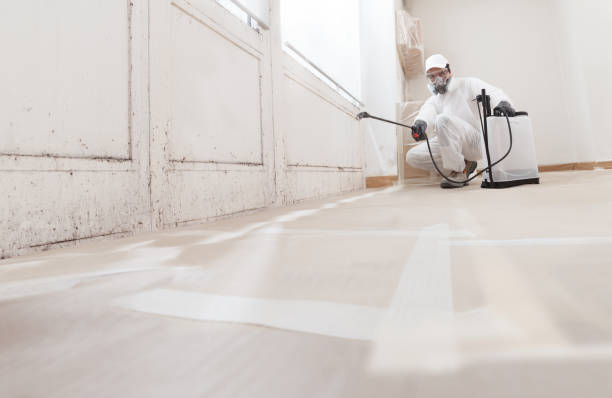 24/7 Emergency Attic Mold Remediation experts in Oak Hall, VA