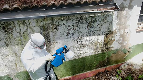 Top rated local Attic Mold Remediation specialists in Oak Hall, VA